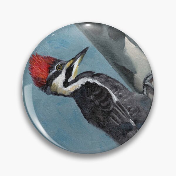 Item preview, Noisy noisy woodpecker designed and sold by John Hinderliter.