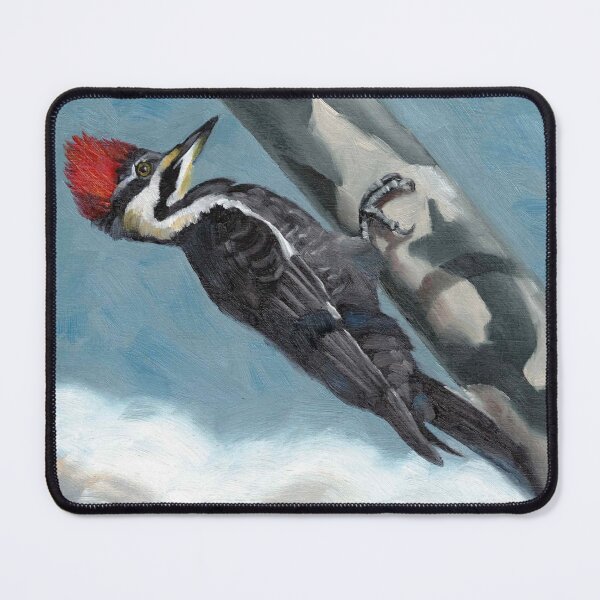 Item preview, Noisy noisy woodpecker designed and sold by John Hinderliter.