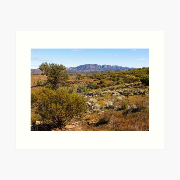 Item preview, Eastern Face of Wilpena Pound, Flinders Ranges, South Australia.  designed and sold by johnrf.