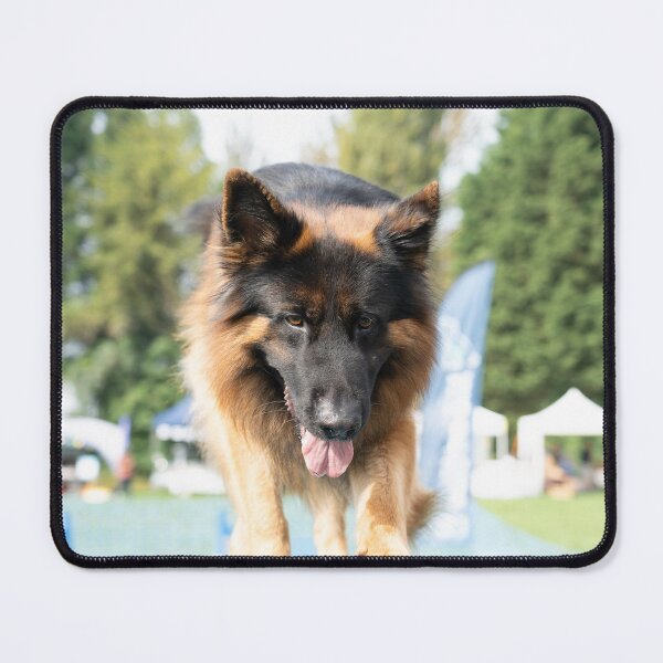 Item preview, Alsation on Dog Agility designed and sold by Woodside-RSPCA.