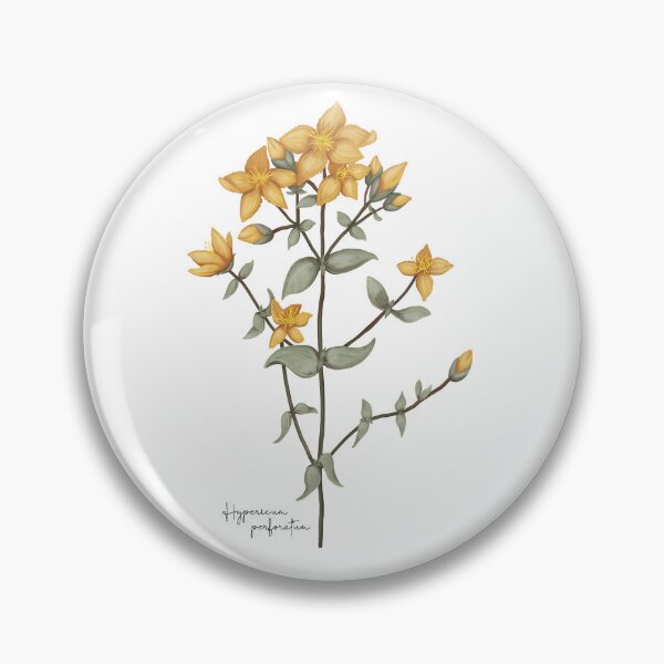 Item preview, Illustration of a Hypericum perforatum designed and sold by kidizajn.