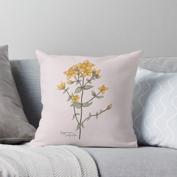 Item preview, Illustration of a Hypericum perforatum designed and sold by kidizajn.