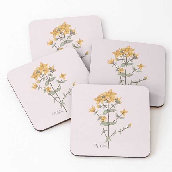 Item preview, Illustration of a Hypericum perforatum designed and sold by kidizajn.