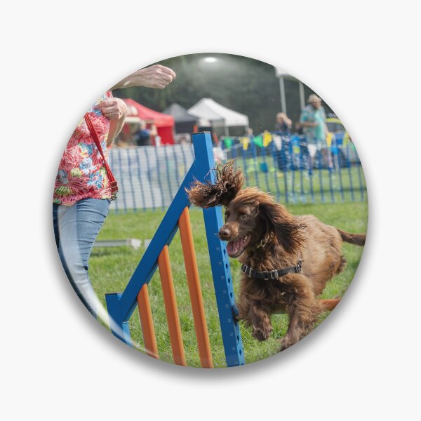 Item preview, Brown spaniel on Knighton Park Agility Course designed and sold by Woodside-RSPCA.