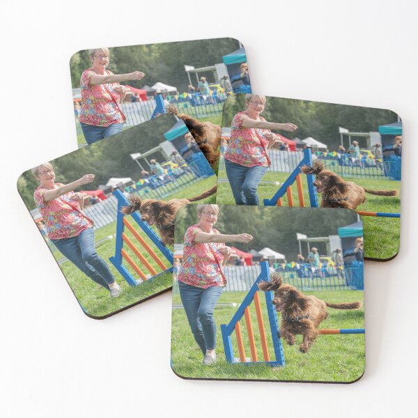 Item preview, Brown spaniel on Knighton Park Agility Course designed and sold by Woodside-RSPCA.
