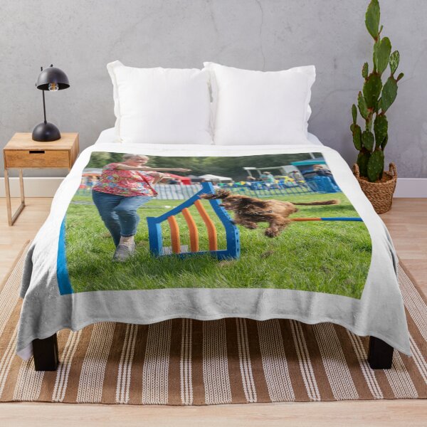 Item preview, Brown spaniel on Knighton Park Agility Course designed and sold by Woodside-RSPCA.