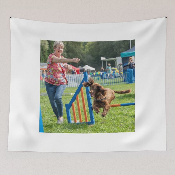 Item preview, Brown spaniel on Knighton Park Agility Course designed and sold by Woodside-RSPCA.