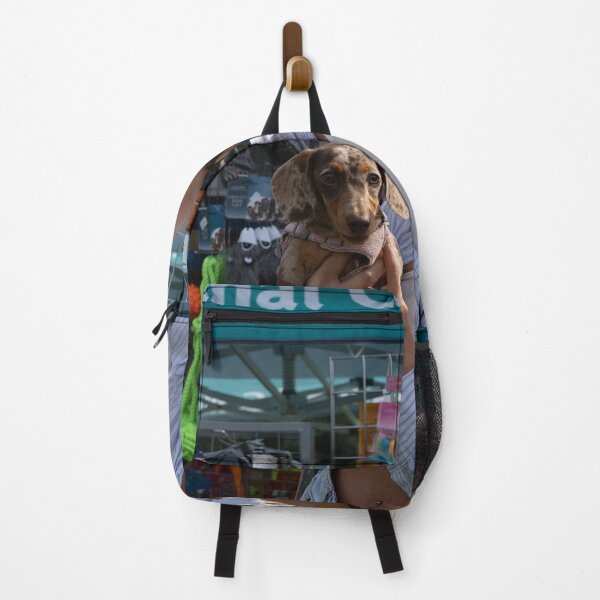 Item preview, Daschund with owner designed and sold by Woodside-RSPCA.