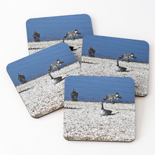 Item preview, Testing the Water designed and sold by Scott and Mary Schneider art_photography.