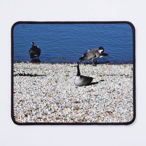 Item preview, Testing the Water designed and sold by Scott and Mary Schneider art_photography.