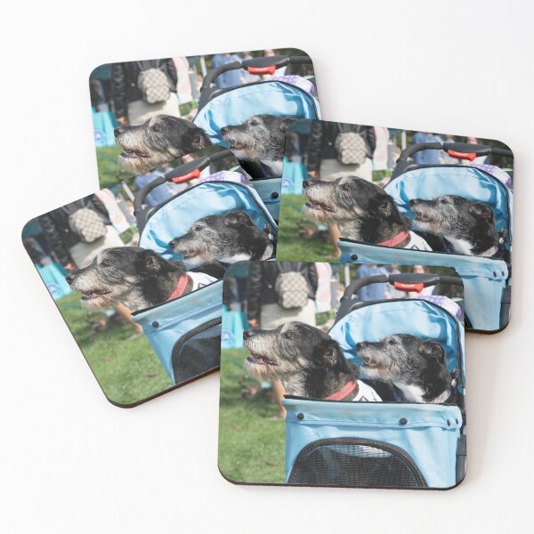 Item preview, Terriers in Pram designed and sold by Woodside-RSPCA.