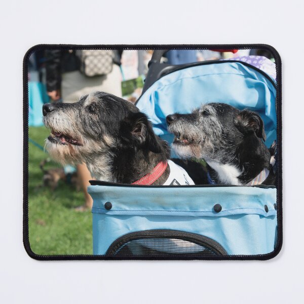 Item preview, Terriers in Pram designed and sold by Woodside-RSPCA.