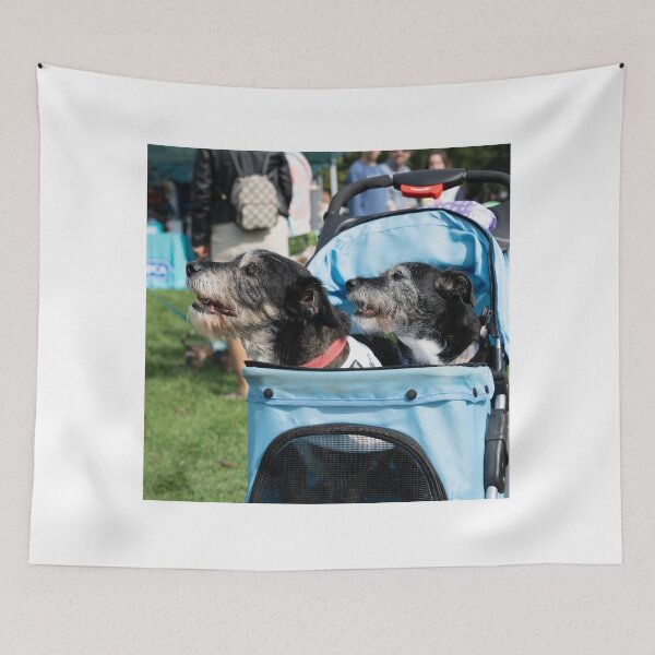 Item preview, Terriers in Pram designed and sold by Woodside-RSPCA.