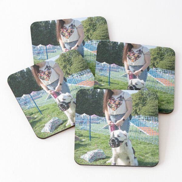 Item preview, Older dog sitting nicely with owner at Knighton Park  designed and sold by Woodside-RSPCA.