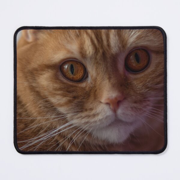 Item preview, Ginger designed and sold by LiubovAvdeeva.