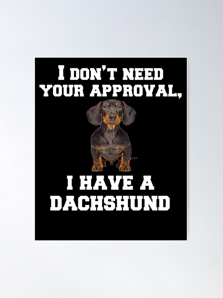 Must-Haves for All Dachshund Owners