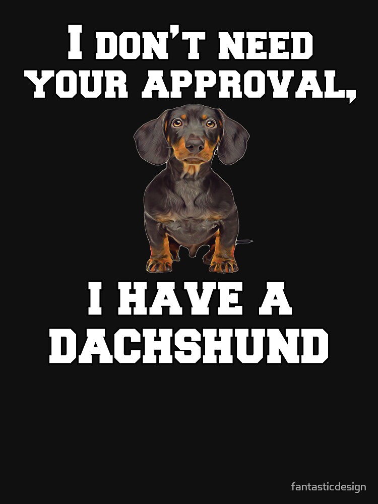 Must-Haves for All Dachshund Owners