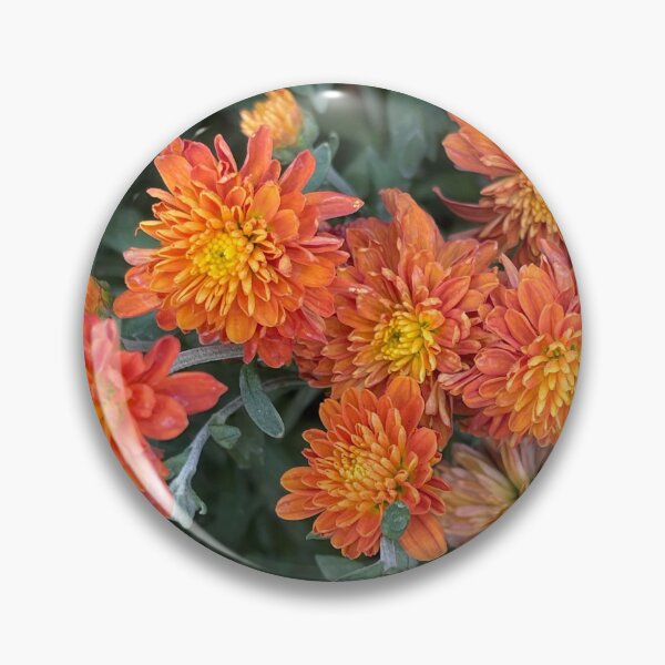 Item preview, Orange Mums Walk designed and sold by bloomingvine.