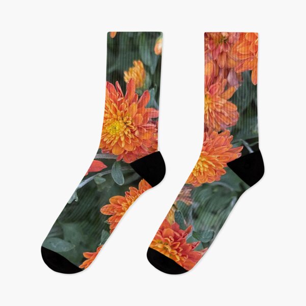 Item preview, Orange Mums Walk designed and sold by bloomingvine.
