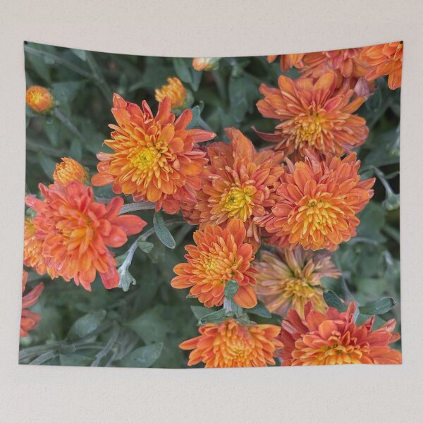 Item preview, Orange Mums Walk designed and sold by bloomingvine.