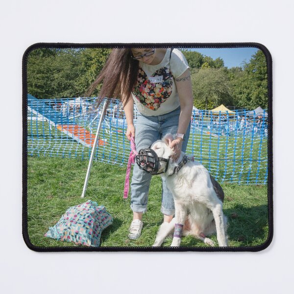 Item preview, Older dog having his ears scratched designed and sold by Woodside-RSPCA.