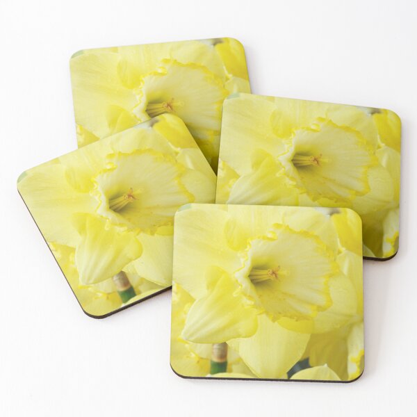 Item preview, Narcissus  'Saint Patrick's Day'   Division 2 Large-cupped Daffodil  designed and sold by Chris Burrows.