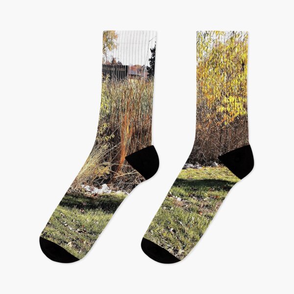 Item preview, Park Hillside in Autumn designed and sold by Scott and Mary Schneider art_photography.