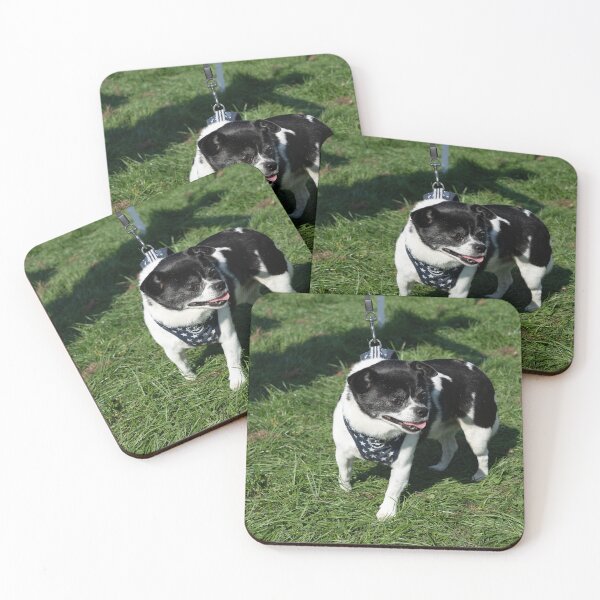 Item preview, Little white and black dog at Knighton Park Dog Show designed and sold by Woodside-RSPCA.