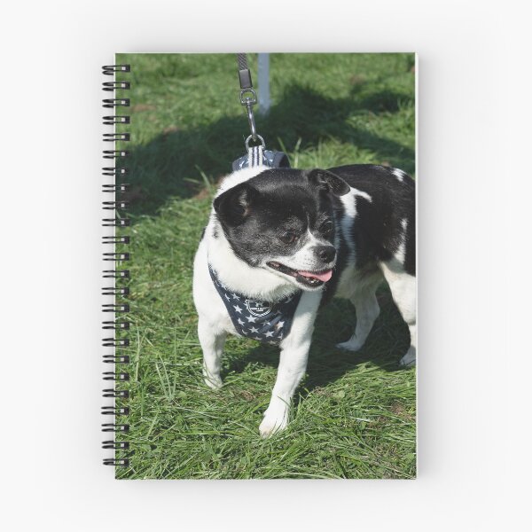 Item preview, Little white and black dog at Knighton Park Dog Show designed and sold by Woodside-RSPCA.