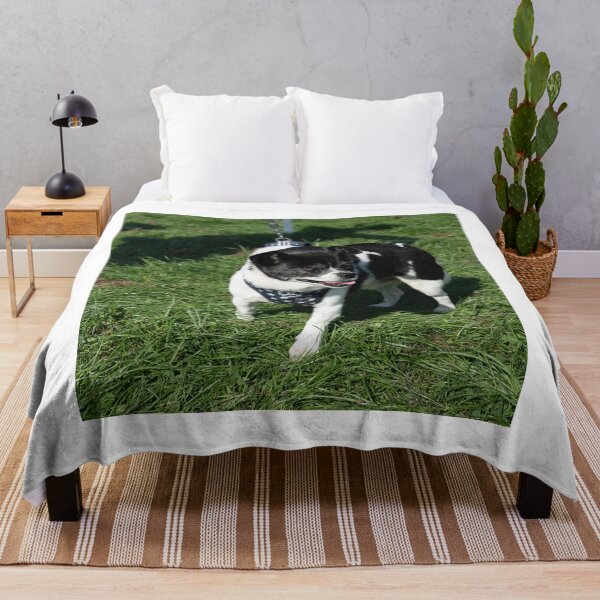 Item preview, Little white and black dog at Knighton Park Dog Show designed and sold by Woodside-RSPCA.