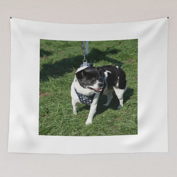 Item preview, Little white and black dog at Knighton Park Dog Show designed and sold by Woodside-RSPCA.
