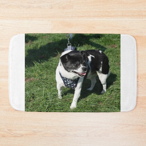 Item preview, Little white and black dog at Knighton Park Dog Show designed and sold by Woodside-RSPCA.