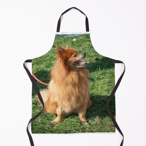 Item preview, Ginger little dog at Knighton Park Dog Show designed and sold by Woodside-RSPCA.