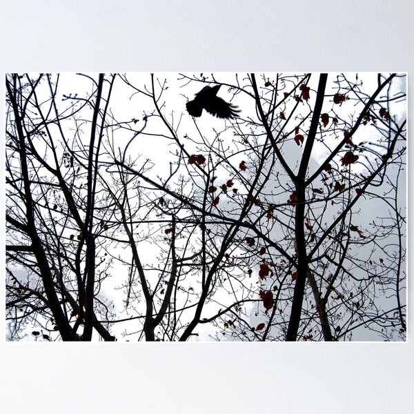 Item preview, Crow designed and sold by for the love photography.