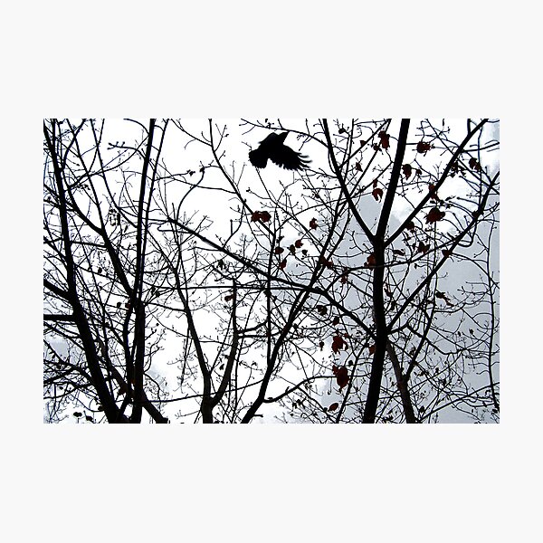 Item preview, Crow designed and sold by for the love photography.