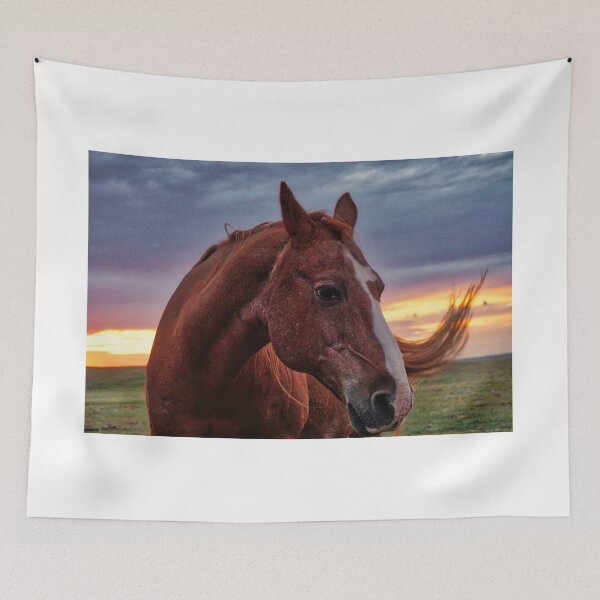 Aperçu de l'œuvre Cheval dans les Prairies créée et vendue par colorfulbundles.