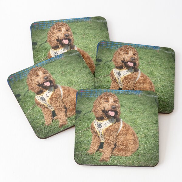 Item preview, Doodle at Knighton Park Dog Show designed and sold by Woodside-RSPCA.