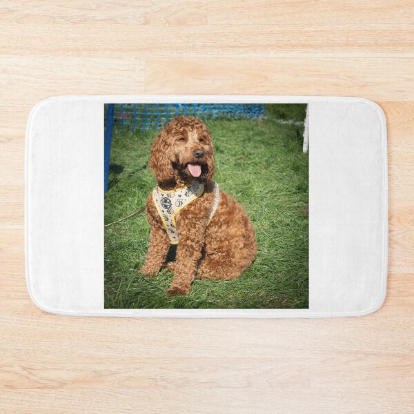 Item preview, Doodle at Knighton Park Dog Show designed and sold by Woodside-RSPCA.
