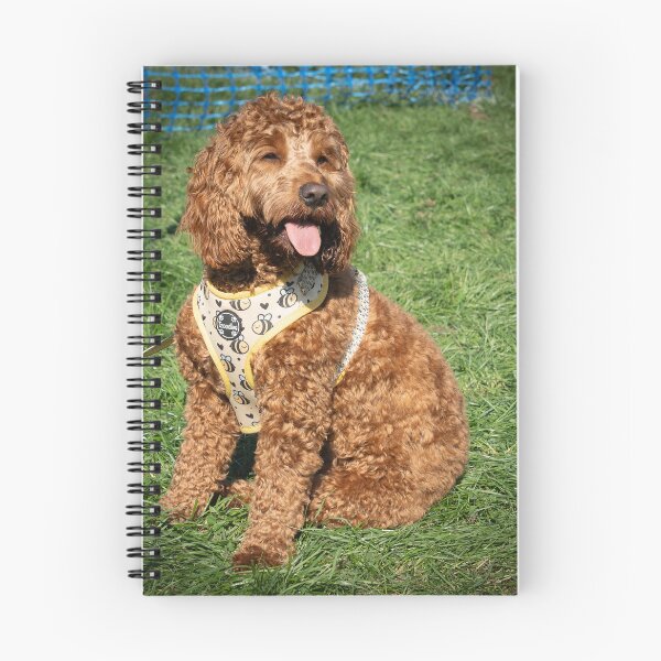 Item preview, Doodle at Knighton Park Dog Show designed and sold by Woodside-RSPCA.