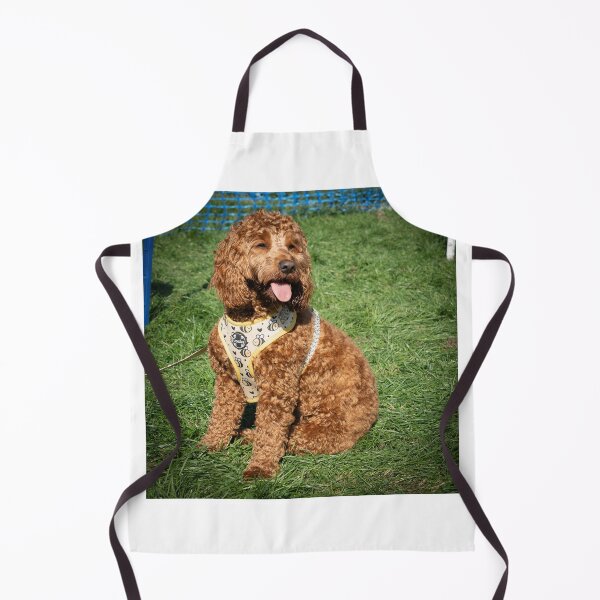 Item preview, Doodle at Knighton Park Dog Show designed and sold by Woodside-RSPCA.