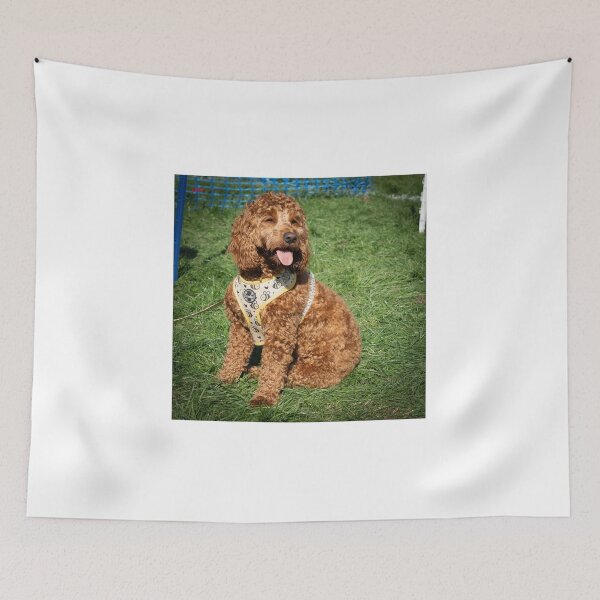 Item preview, Doodle at Knighton Park Dog Show designed and sold by Woodside-RSPCA.