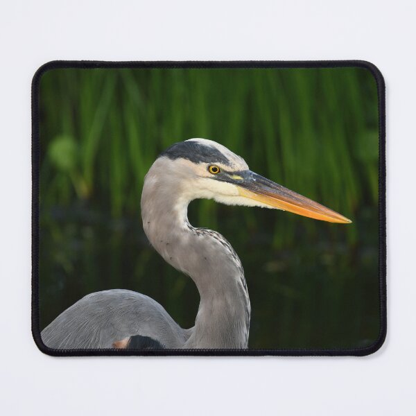 Item preview, Great Blue Heron designed and sold by CloserToTheArt.