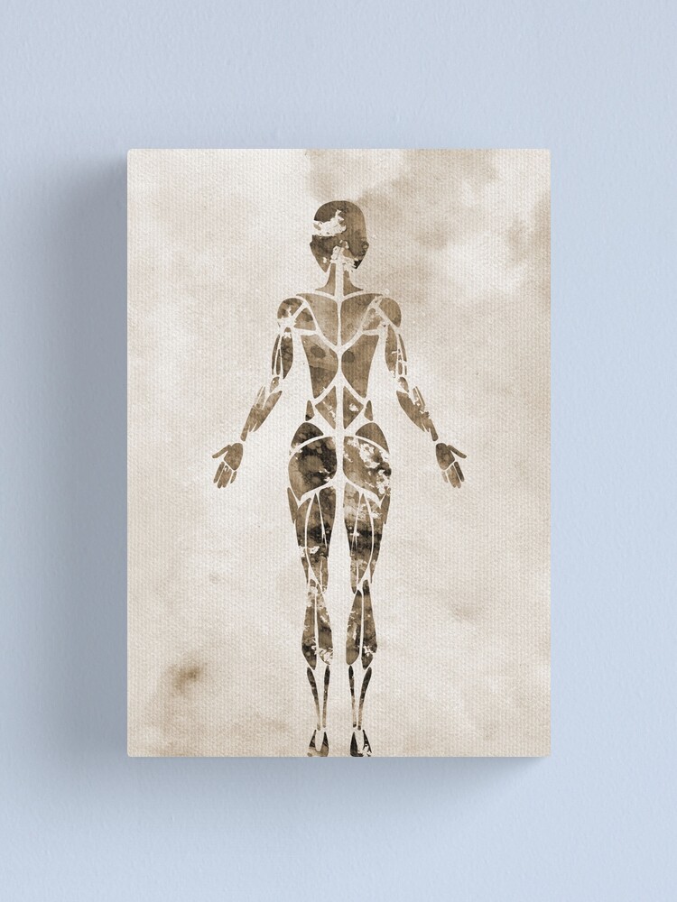 Female Muscular System Anatomywatercolor Medical Art Canvas Print