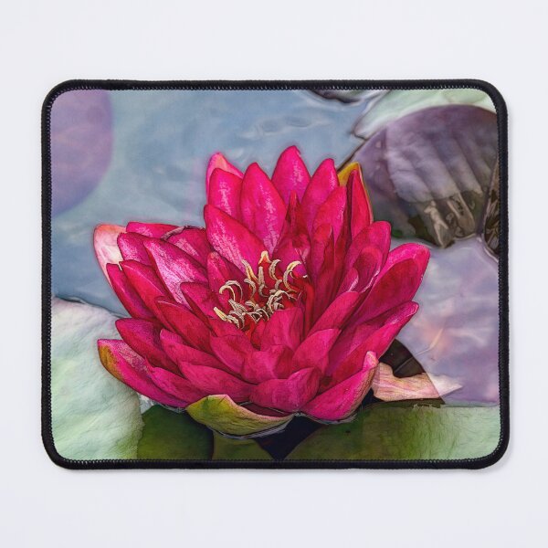 Item preview, A Waterlily Named Red designed and sold by SherryWyneArt.