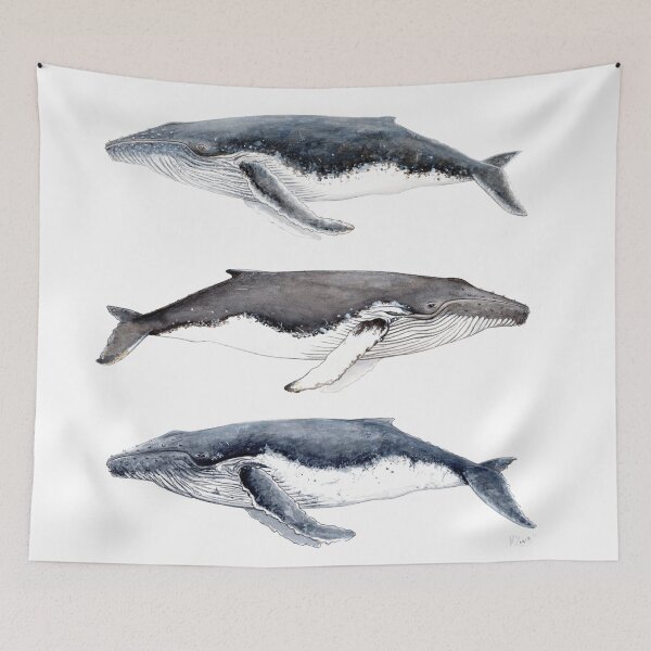 Item preview, Humpback whales (Megaptera novaeangliae)  designed and sold by chloeyzoard.