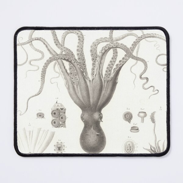 Item preview, Vintage Octopus Biological Diagram (1826) designed and sold by BravuraMedia.