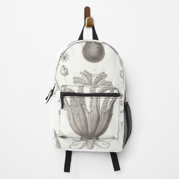 Item preview, Vintage Octopus Biological Diagram (1826) designed and sold by BravuraMedia.