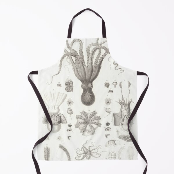 Item preview, Vintage Octopus Biological Diagram (1826) designed and sold by BravuraMedia.