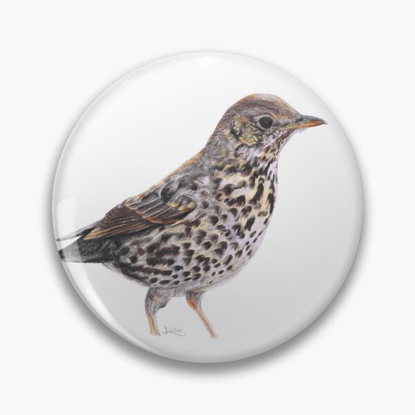 Item preview, Song Thrush designed and sold by LillaArtNature.