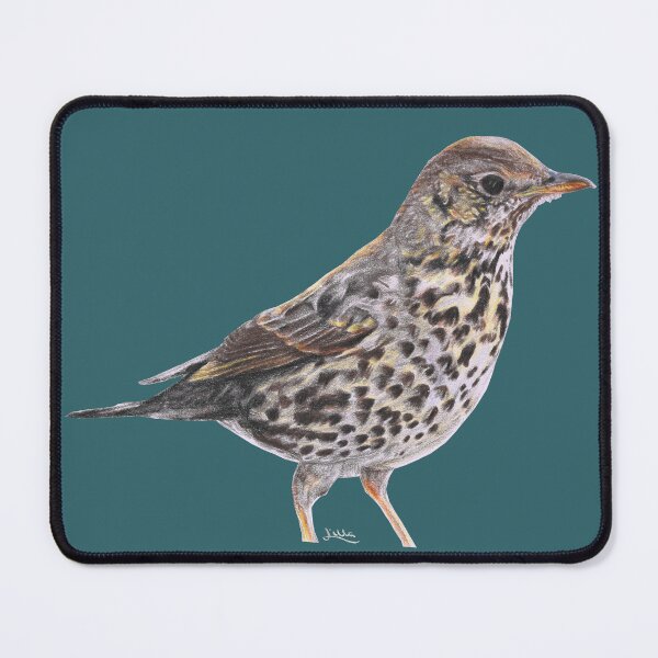 Item preview, Song Thrush designed and sold by LillaArtNature.